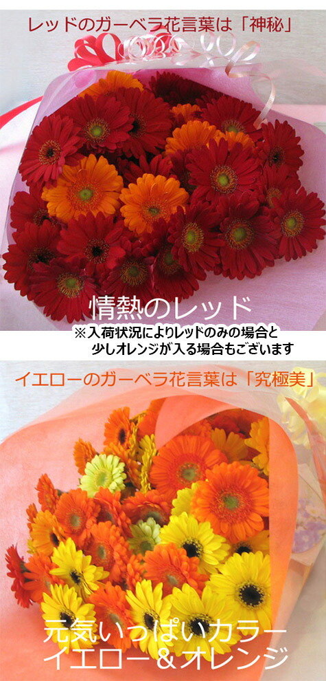 ガーベラ　10本セット ガーベラ 10輪BOX(色：6種類) | Savon de Fleur