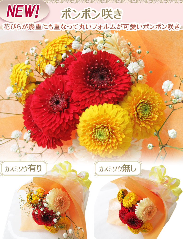 ガーベラ　10本セット ガーベラ 10輪BOX(色：6種類) | Savon de Fleur