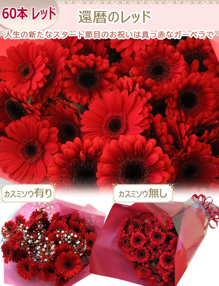 生花 】【 産地直送 】カラーと本数が選べる ガーベラ花束 10本