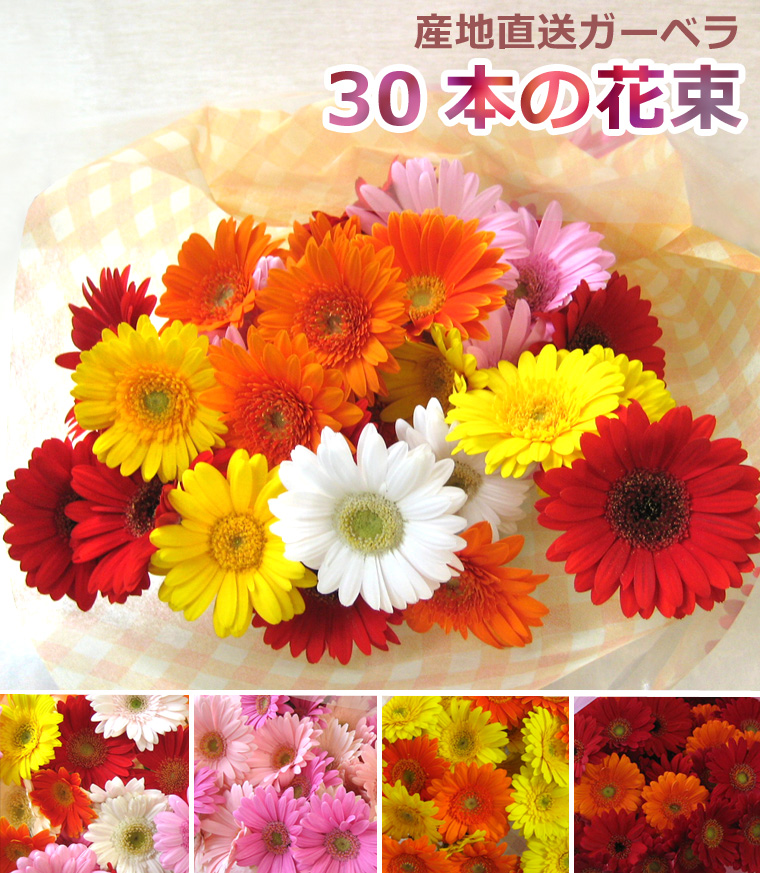 全品種MIX【生花・切り花】40cm 15本 15時までの決済で当日発送