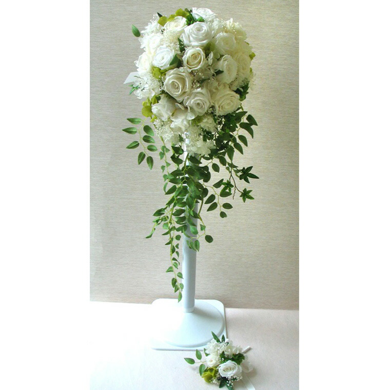 楽天市場】送料無料（一部地域を除く）【只今プレゼント付き