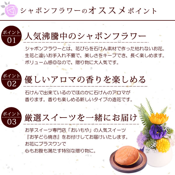 送料無料 お盆 お供え お彼岸 お供え花 49 日 故人 お悔やみ 仏花 命日 お菓子 スイーツセット 花とスイーツ シャボンフラワー 仏壇 初盆 お菓子 アレンジメント 花 ペット 和菓子 緑茶 Crunchusers Com
