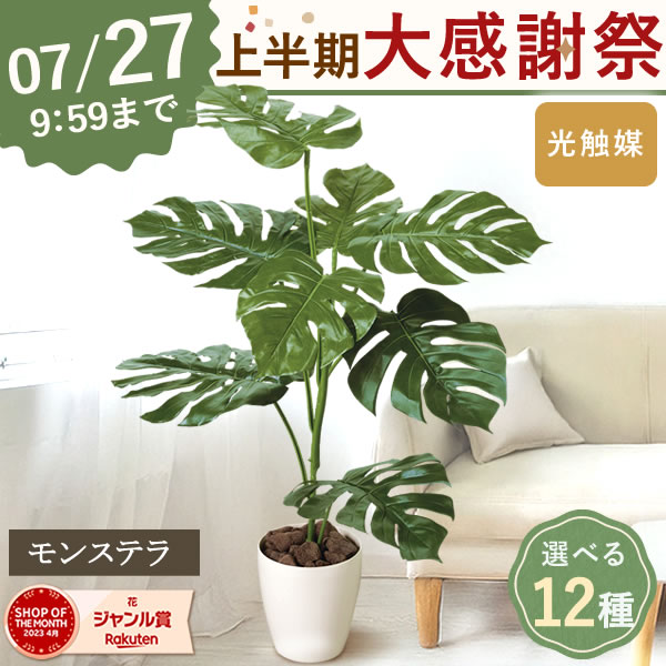 ＼上半期大感謝祭！ポイント3倍／ フェイクグリーン 光触媒 観葉植物 モンステラ アンスリューム パキラ フィカス ウンベラータ 花 フェイク 小さい ミニ 卓上 大型 棚 鉢 おしゃれ インテリア 可愛い かわいい 産直 ギフト 送料無料｜プレゼント＆ギフト　花コラボ