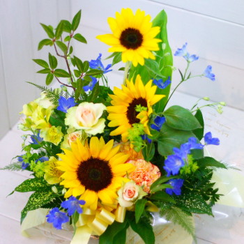 母の日 送別 差し上げ物 おまかせ 黄味がかったオレンジ色系お花申し合わせ 花 一般受け度合い 花差し上げ物 胸花 一緒になる不死化日 （生まれ落ちる日 などにも） 薔薇 着任 送別 ３５ 花・ガーデン・DIY-花・観葉植物-フラワーアレンジメント
