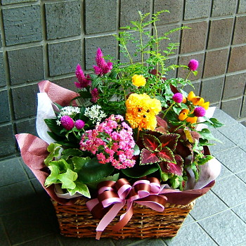 送別　卒業 プレゼント おまかせ バスケットプランツアレンジメント 花 人気ランキング 花ギフト 花束 結婚記念日　（誕生日 などにも） バラ 就任　送別 ６３
