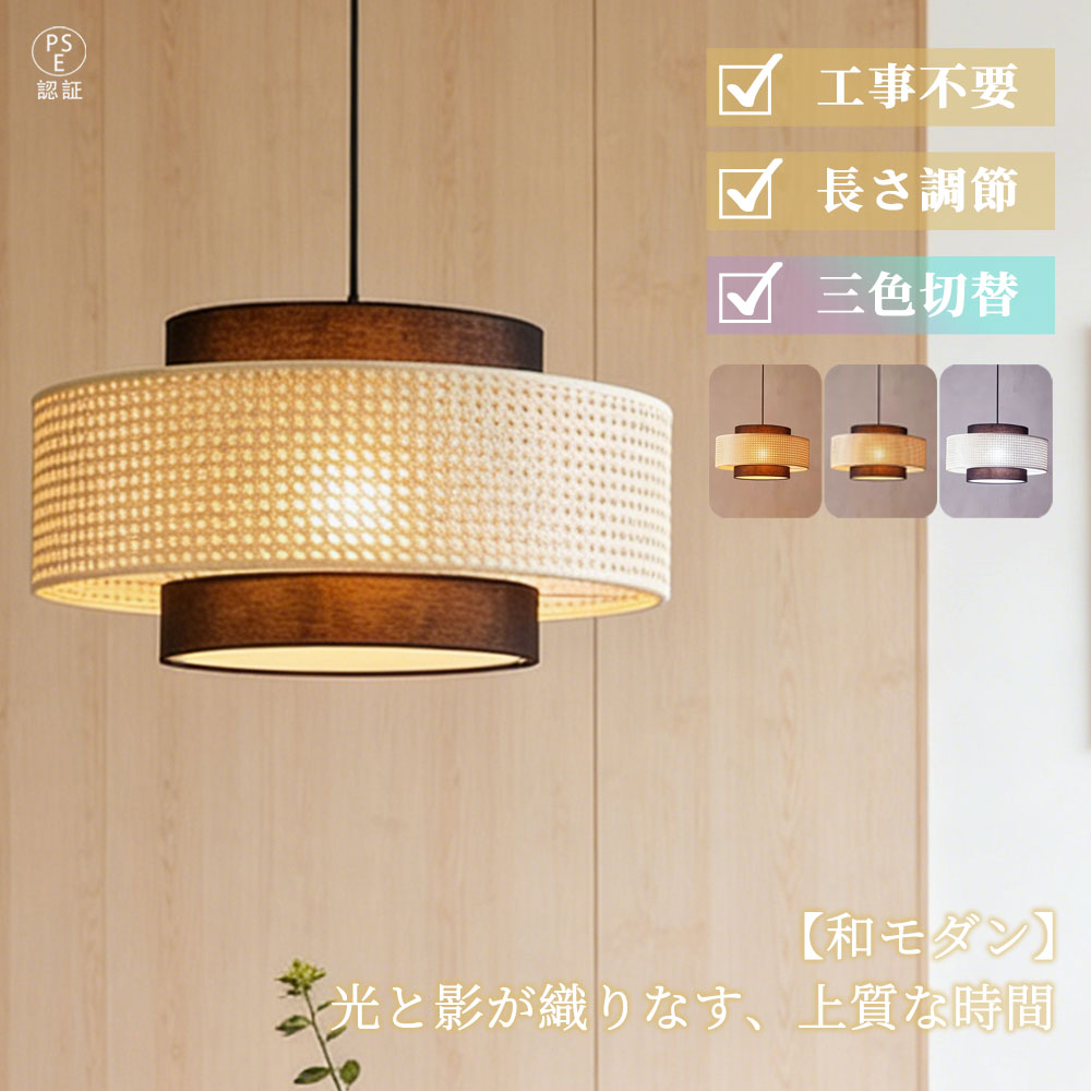 トピックス インテリア・寝具・収納-ライト・照明器具-天井照明