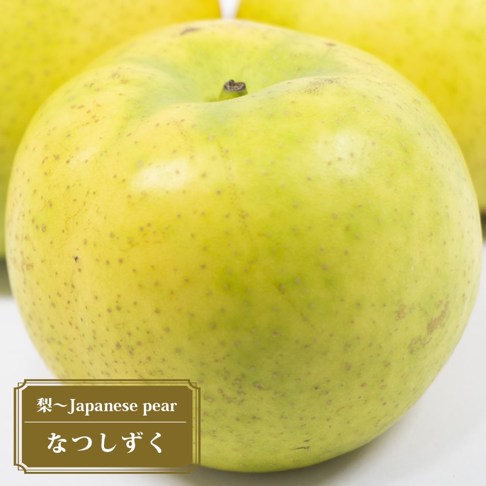 楽天市場】梨 苗木 【甘太】 1年生接木苗 単品 or 受粉樹セット 楽天市場】梨 苗木 【甘太】 1年生接木苗 単品 or 受粉樹セット