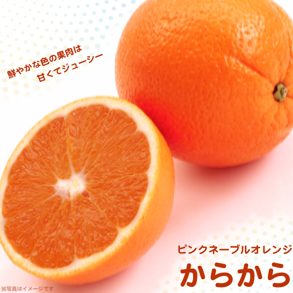 ネーブルオレンジ 無・ネーブルオレンジ9.5kg：広島県産のみかん・柑橘類｜食べチョク