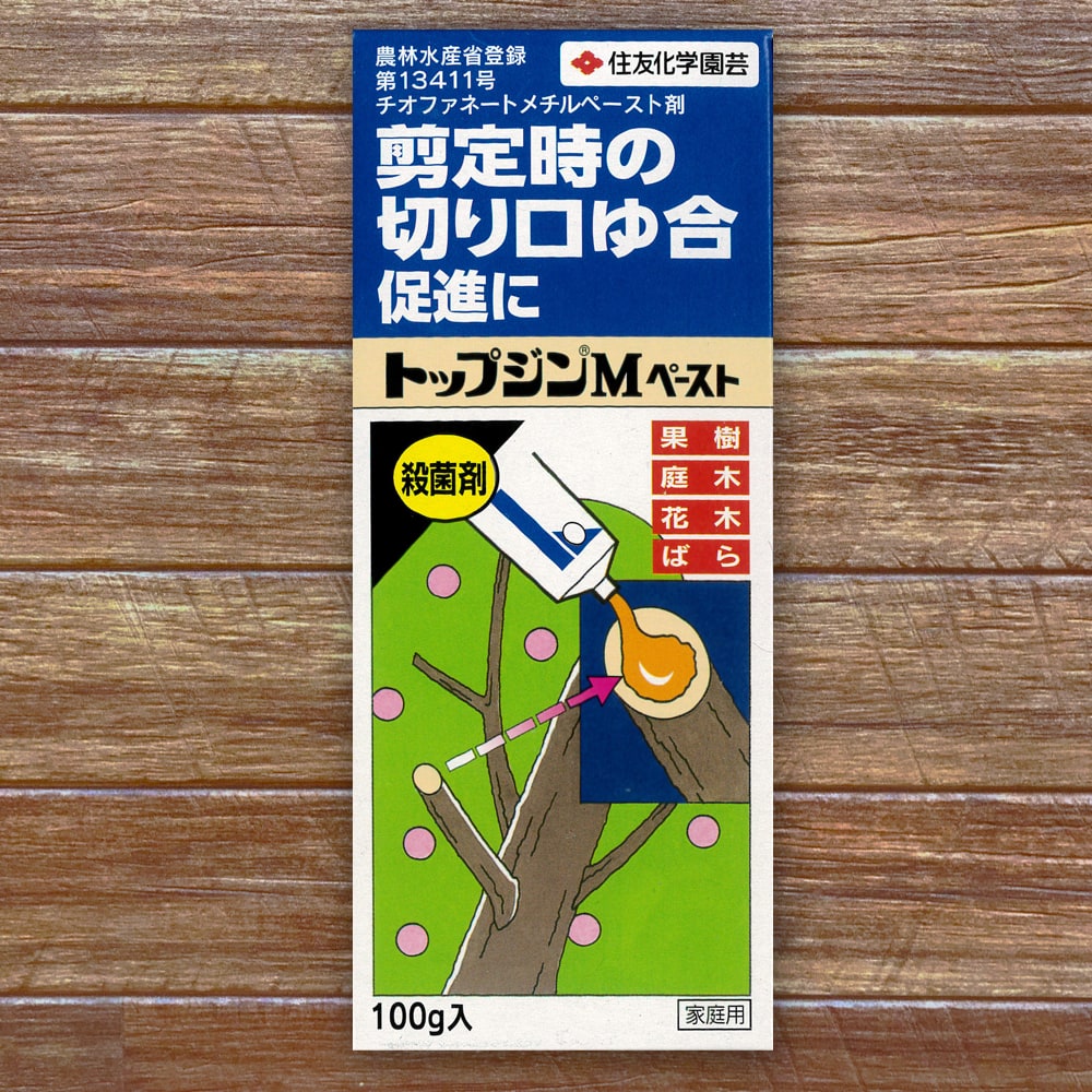 楽天市場】テッポウムシ予防樹脂フィルム1000ml 刷毛付き or