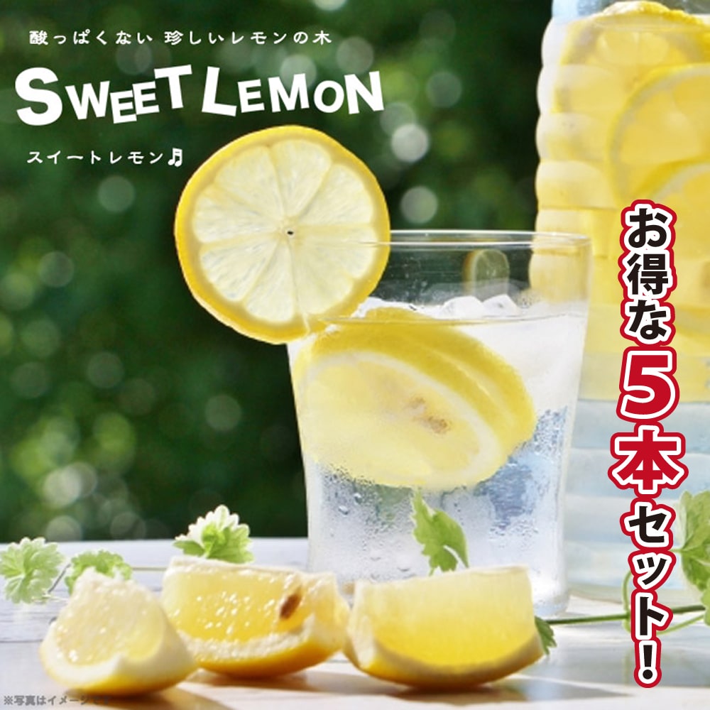 sweetlemon-re2_5set.jpg