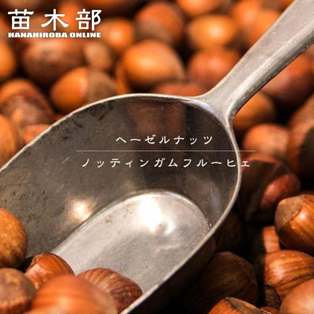 御気に入りの薔薇の見つけ方