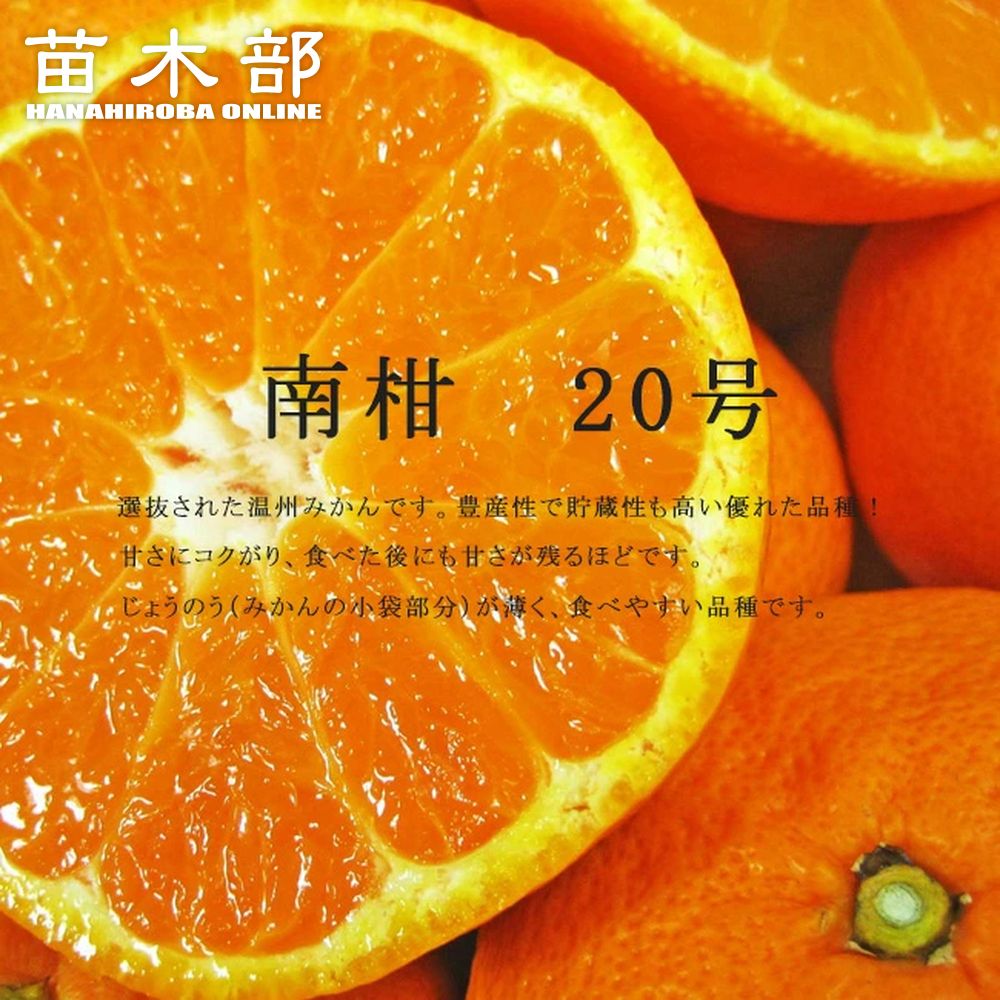 nankan20-03-logo.jpg nankan20-03-logo.jpg