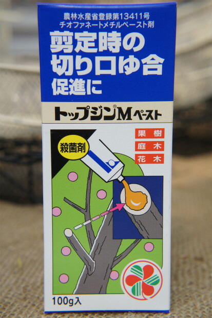 楽天市場 トップジンｍペースト 100g 切り口に塗る殺菌剤 資材 農薬 薬剤 苗木部 ｂｙ 花ひろばオンライン