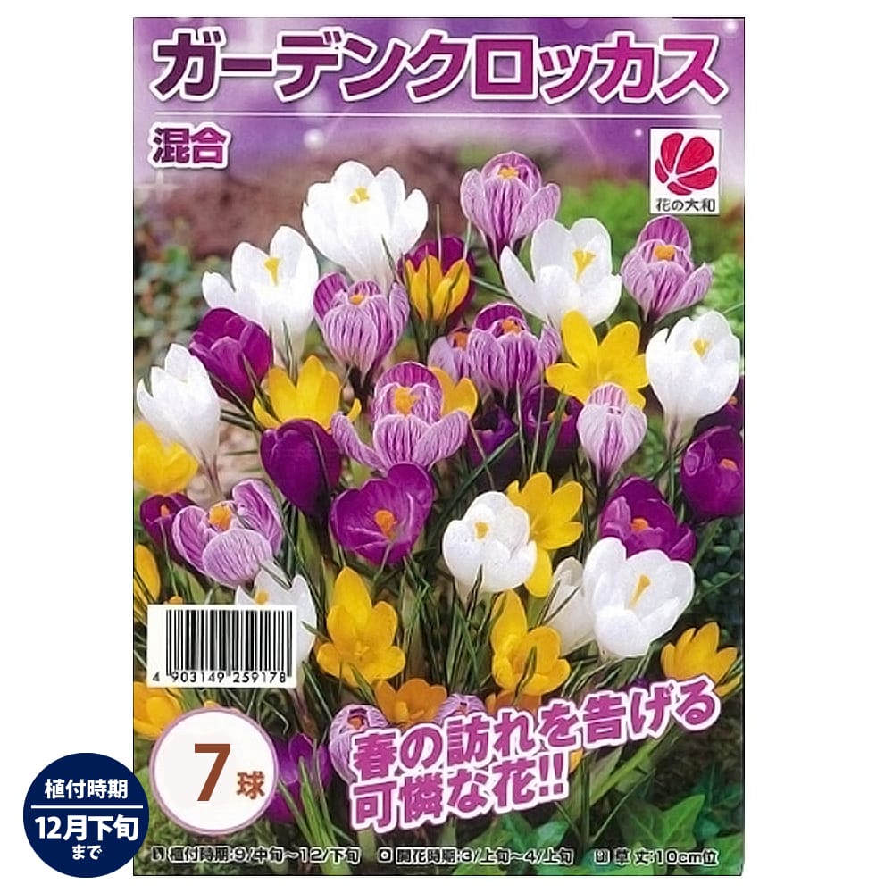 ガーデンクロッカス混合 植え付け時期12月下旬まで ガーデンクロッカス混合 植え付け時期12月下旬まで