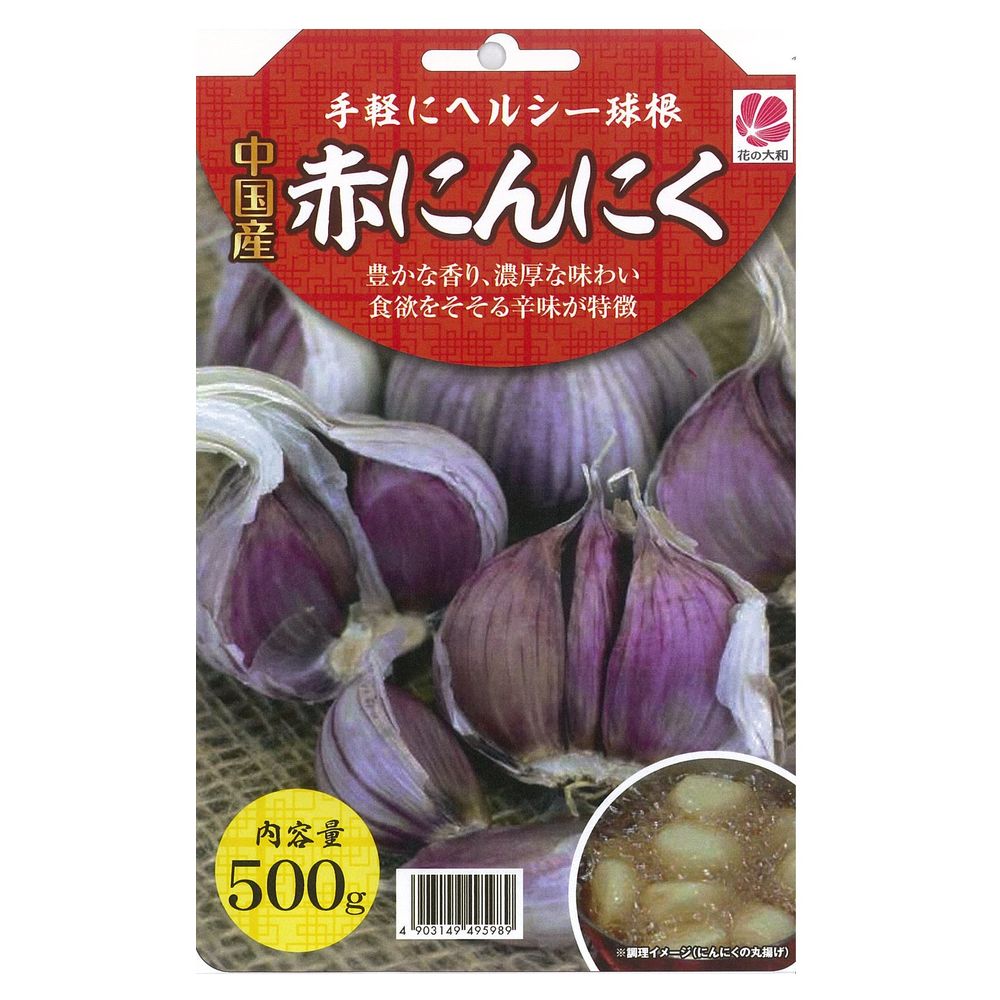 ジャンボにんにくの芽出し 200個 リーキ・ジャンボにんにく| 種・苗・ガーデニング用品の【タキイ