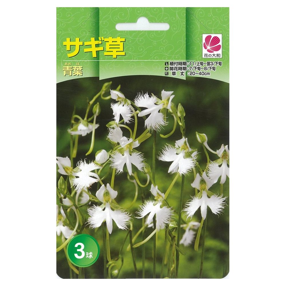 【半額】 【銀河】 楽天市場】サギソウ 球根 （植え付け時期11 （3球入） その他観葉植物