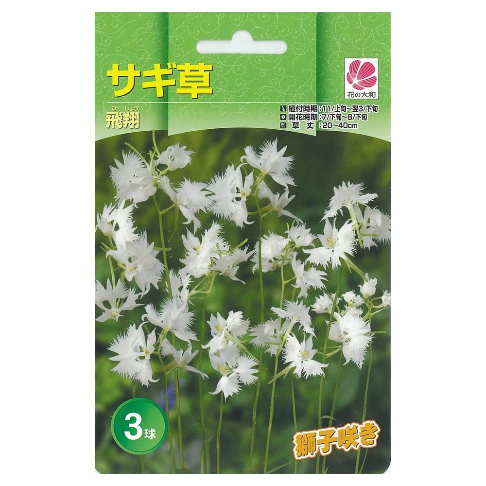 楽天市場】斑入り山野草 サギソウ（良球） 天の川 5球（中小球