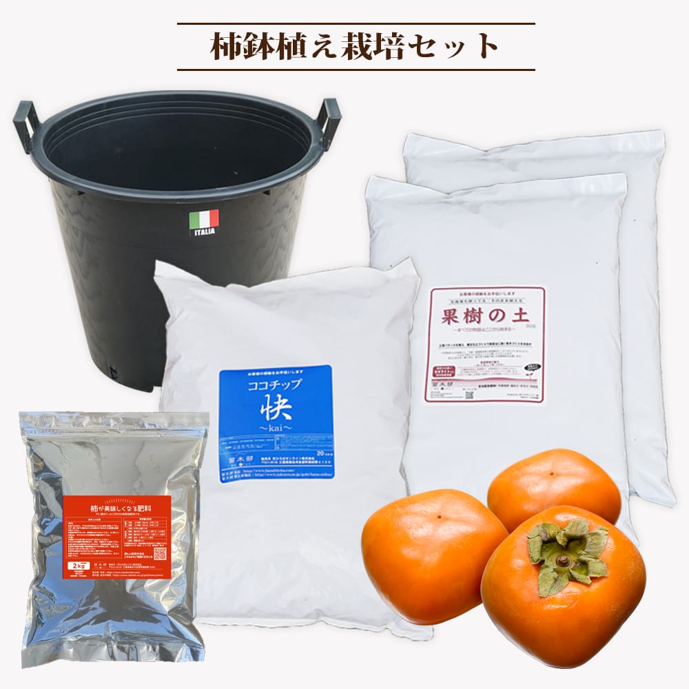 3nen-saibai-kaki.jpg