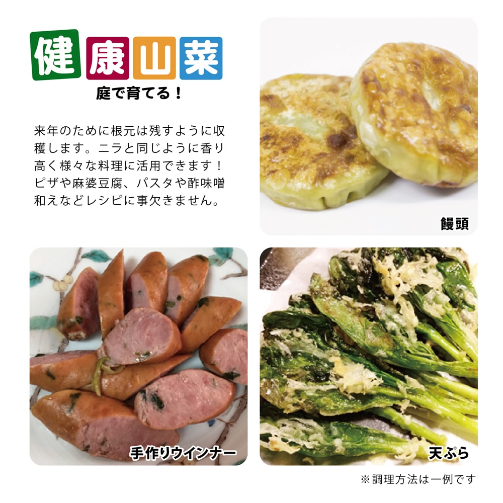 楽天市場 行者にんにく 3 5号ポット苗 健康山菜 苗木部 by 花ひろばオンライン 楽天市場 行者にんにく 3 5号ポット苗 健康山菜 苗木部 by 花ひろばオンライン
