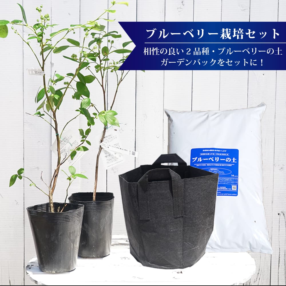 楽天市場】鉢植えにおすすめ 【ブルーベリーの土】 （肥料入り） （14L） : 苗木部 ｂｙ 花ひろばオンライン