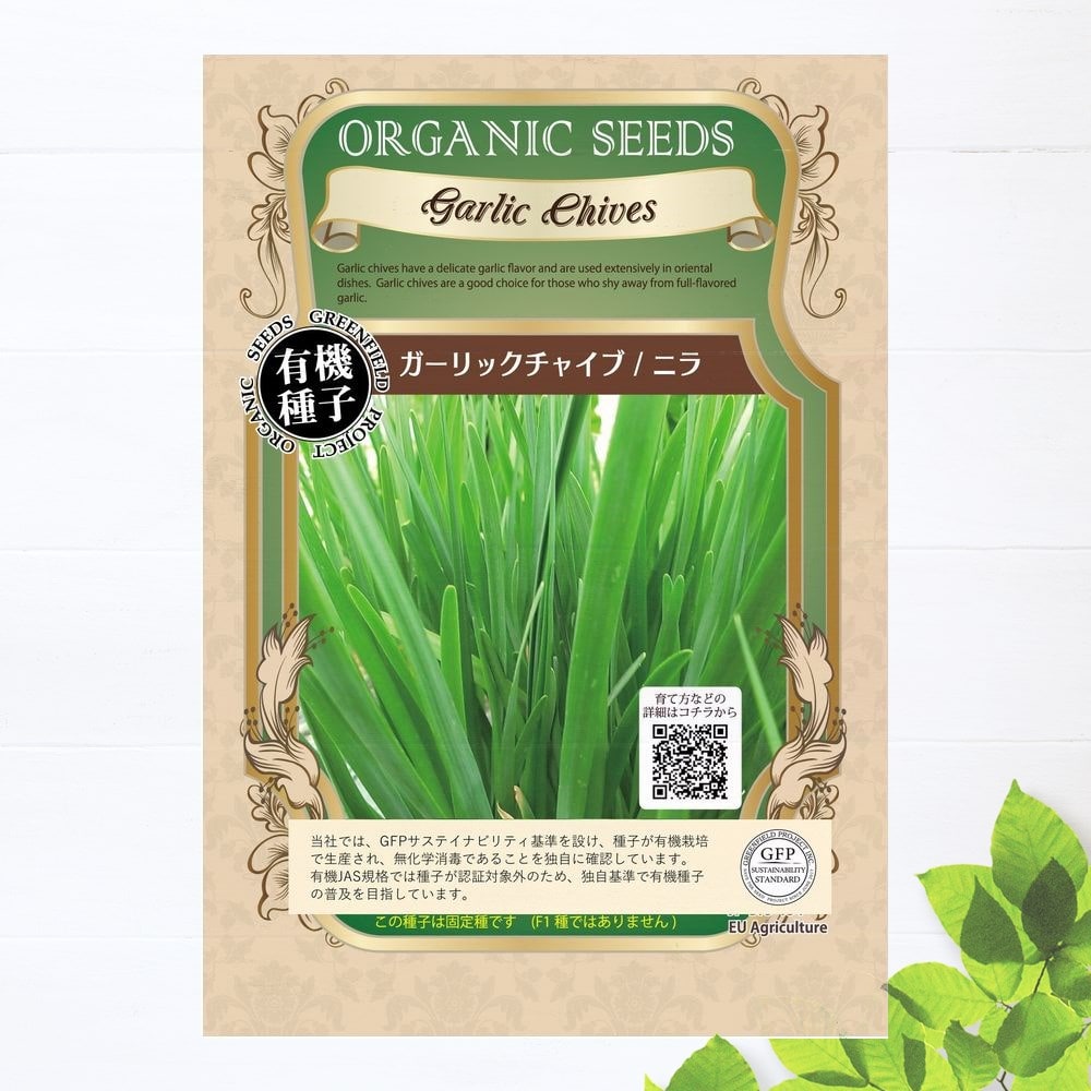 希少 6月入荷 5粒 ブルセラ アリダ ダークオレンジ 種子 種 証明