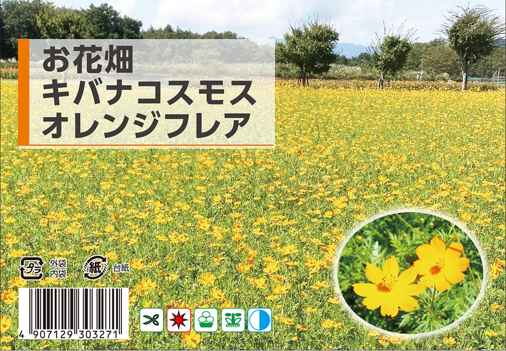 楽天市場】種 コスモス 【お花畑 キバナコスモス】 約10ml （種蒔時期
