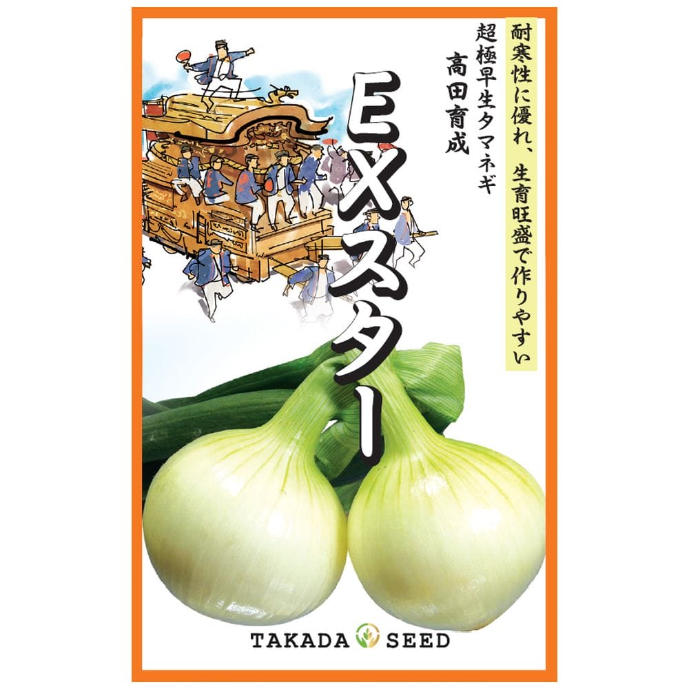 INAMO89 玉ねぎ苗 4500本 浜笑 超極早生 INAMO89 玉ねぎ苗 4500本 浜笑 超極早生 INAMO89 玉ねぎ苗 4500本 浜笑