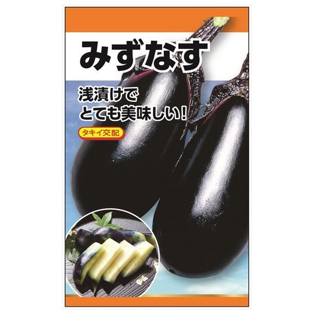 楽天市場】なす 【みずなす】 タキイ交配 種・小袋 （0.4ml） F1（一代