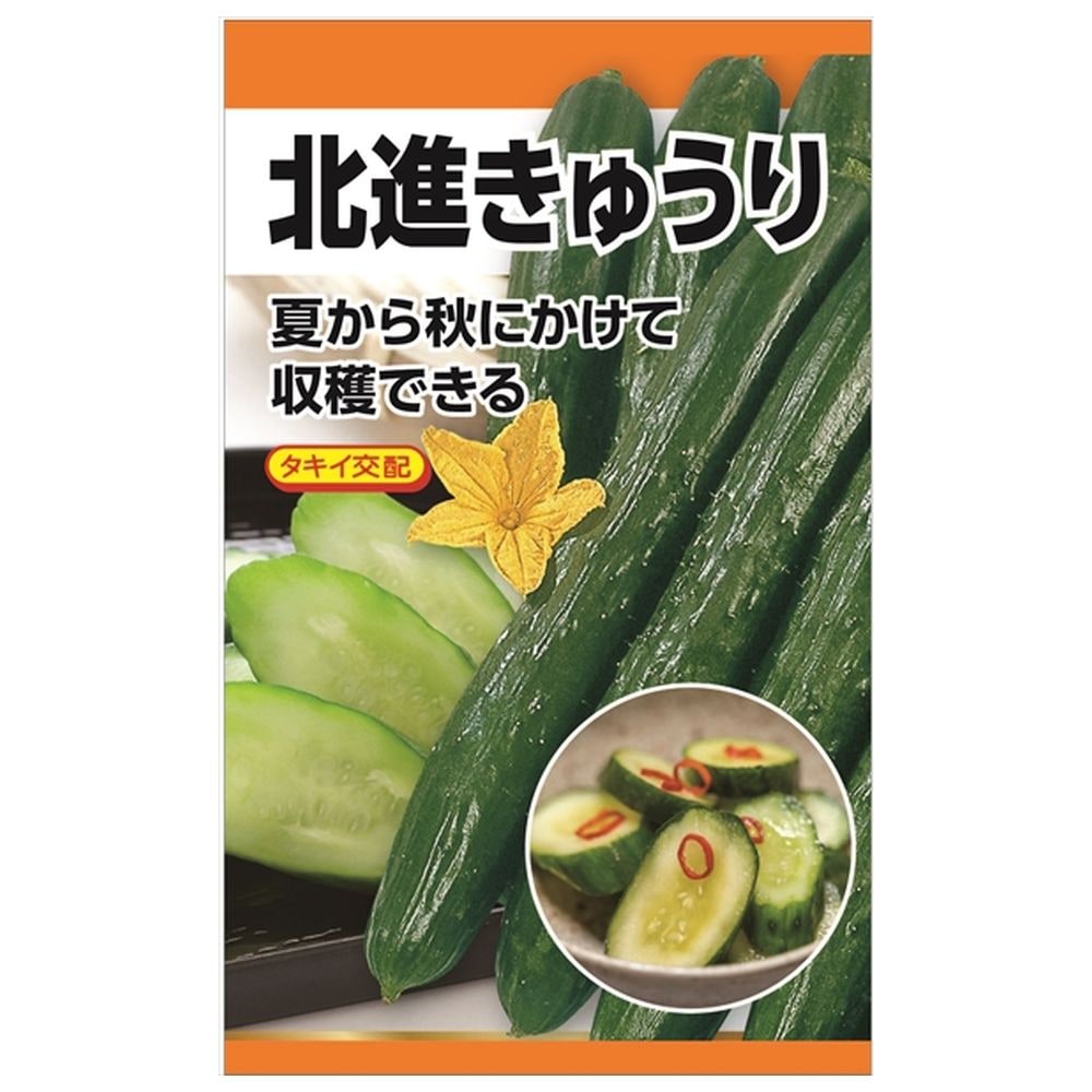 きゅうり きゅうり F1夏きゅうり 苗 販売 苗木部 By 花ひろばオンライン