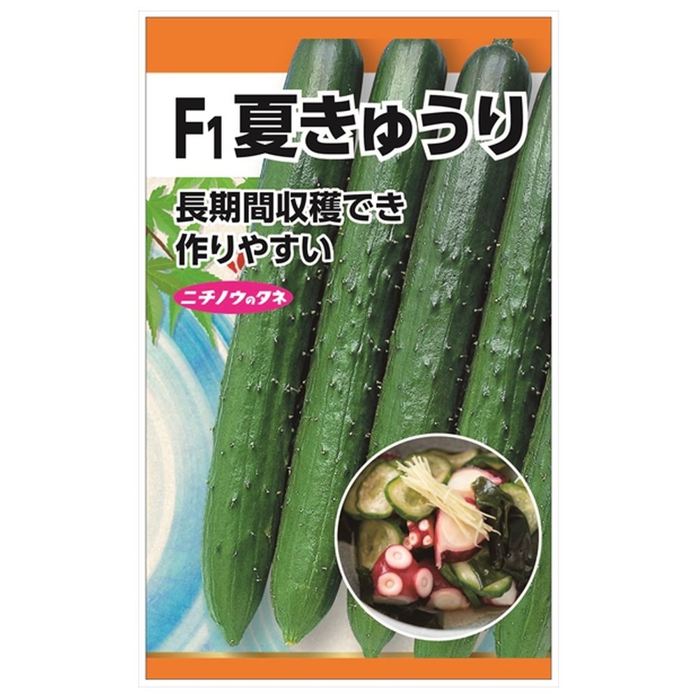 楽天市場】きゅうり 【F1夏秋きゅうり】 種・小袋 （1.5ml