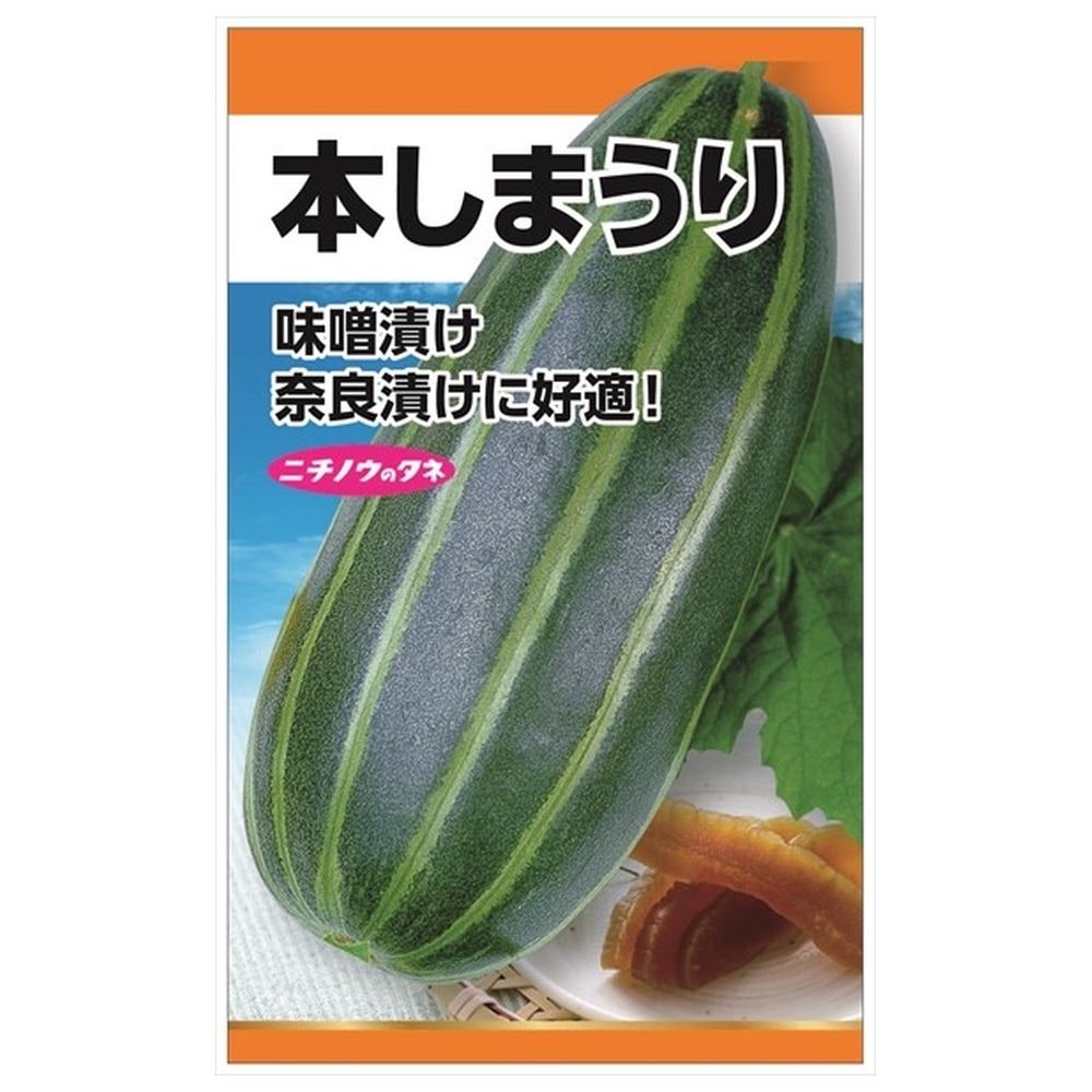 楽天市場】つけうり 【黒うり】 種・小袋 （1.5ml） 固定種 : 苗木部