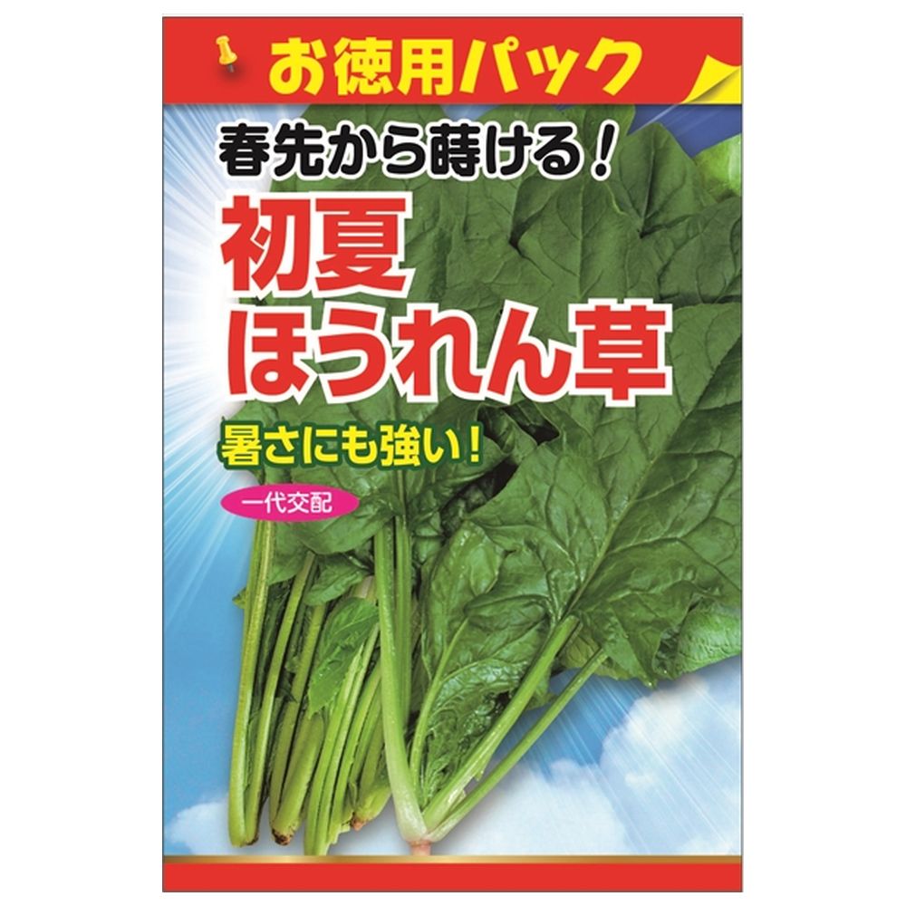 ほうれんそう出品 Yahoo!オークション - 大阪発 KUBOTA/クボタ ほうれんそう調製機