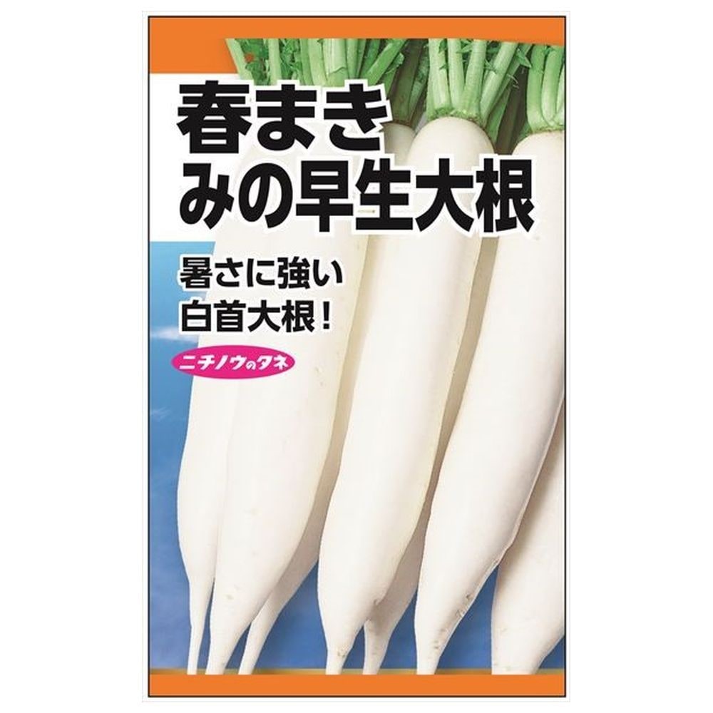 楽天市場】ラディッシュ 【アイシクル(白長二十日大根)】 種