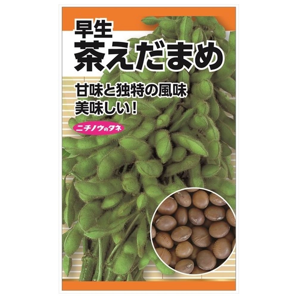 えだまめページ 楽天市場】枝豆 【早生えだまめ（白鳥）】 お徳用 種・小袋 （120粒