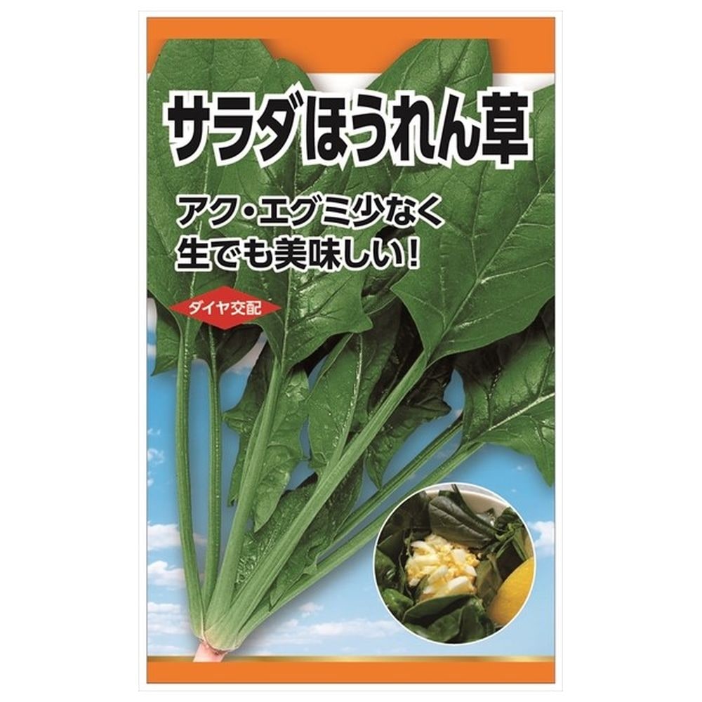 楽天市場】ほうれん草 【夏どりほうれん草】 種・小袋 （15ml） : 苗木