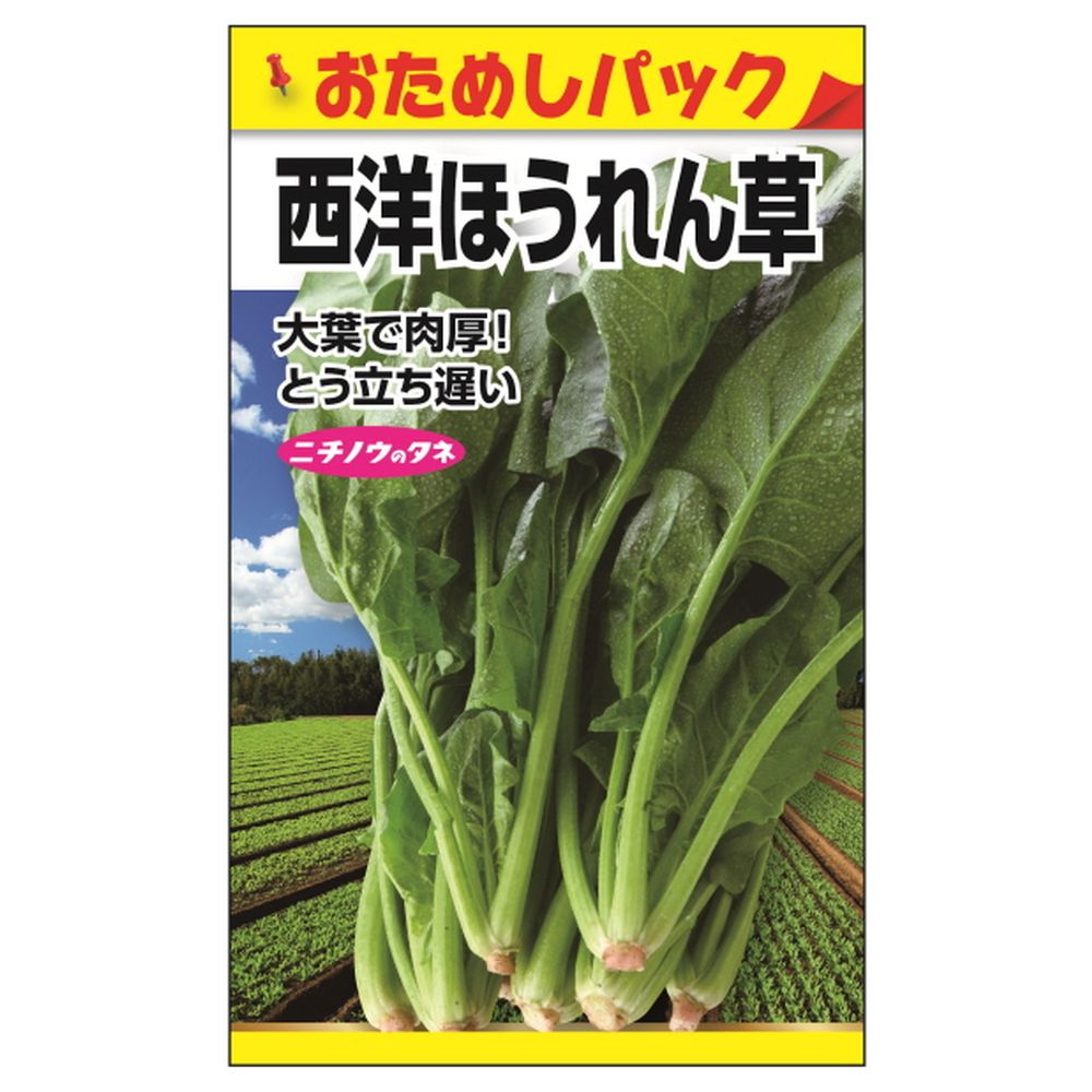 楽天市場】【サラダ水菜 (おためしパック)】 種・小袋 （0.5ml