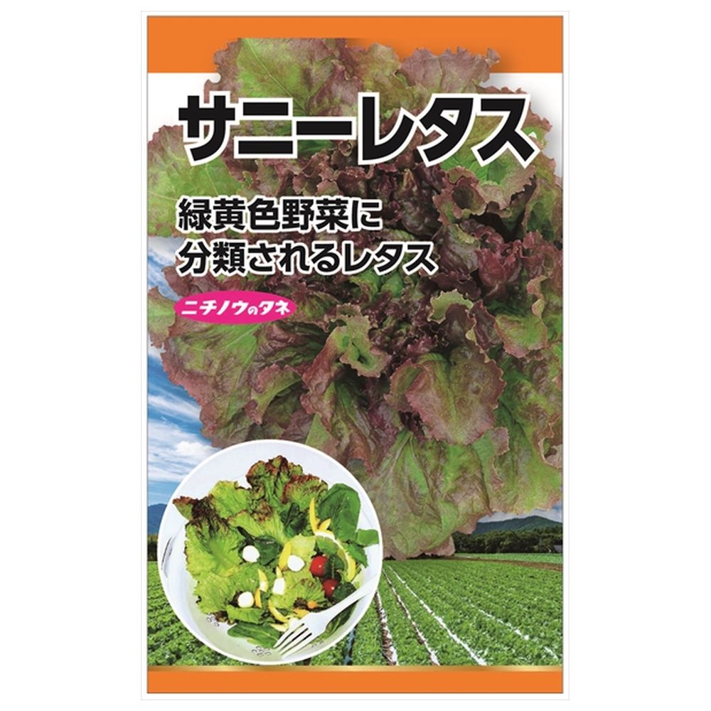 楽天市場】レタス 【サラダ菜】 種・小袋 (4ml) 固定種 : 苗木 楽天市場】レタス 【サラダ菜】 種・小袋 (4ml) 固定種 : 苗木