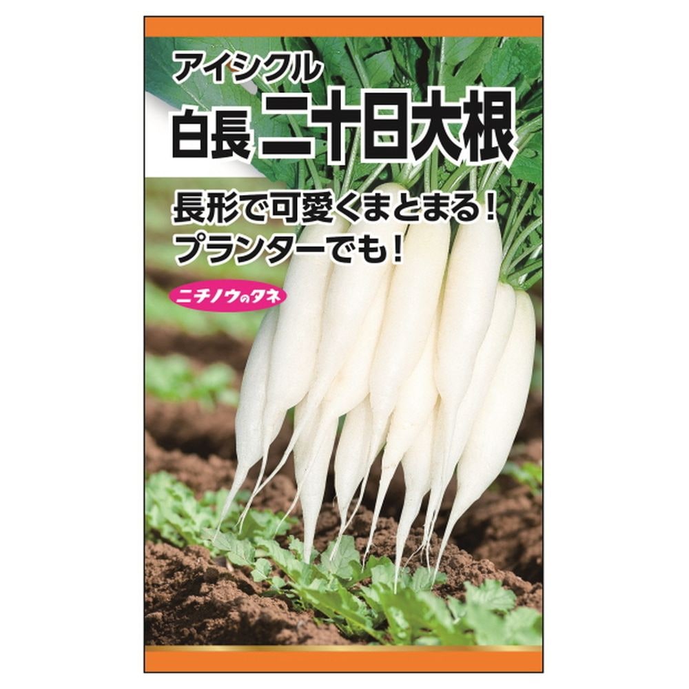 楽天市場】ラディッシュ 【アイシクル(白長二十日大根)】 種・小袋