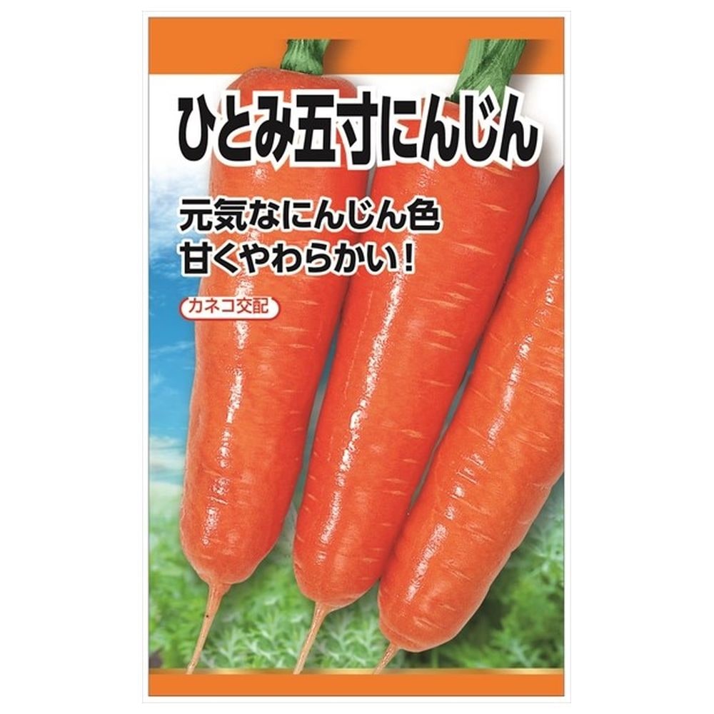 楽天市場】にんじん 【五寸にんじん】 種・小袋 （8ml） 固定種