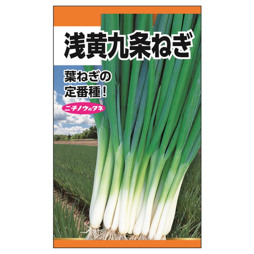 楽天市場】ねぎ 【やく味小ねぎ】 種・小袋 （7ml） 固定種 : 苗木部