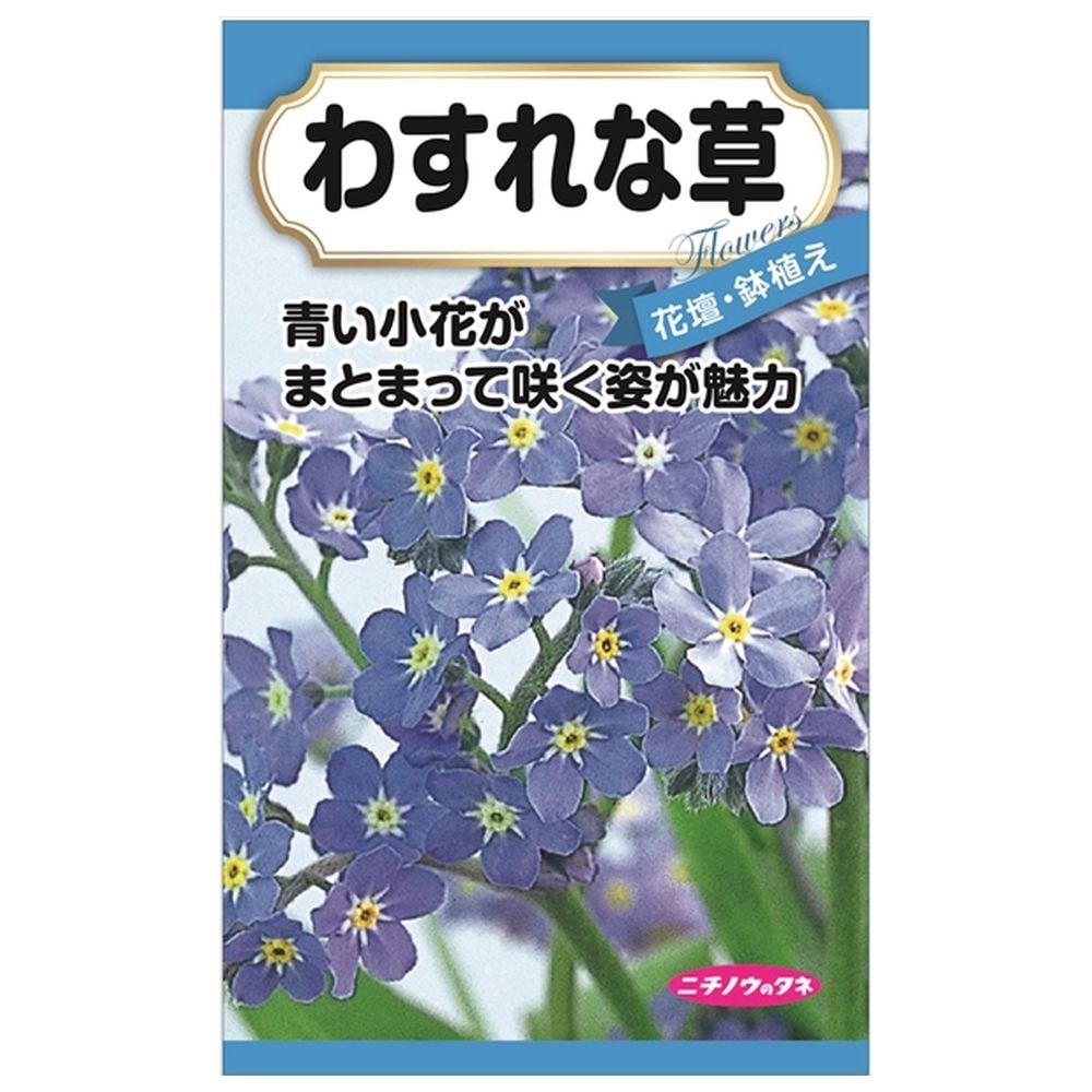 楽天市場】【赤花かすみ草】 種・小袋 （0.1ml） 固定種 : 苗木