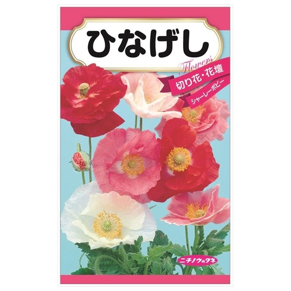 楽天市場】【八重矢車草】 種・小袋 （1ml） 固定種 : 苗木部 by 花