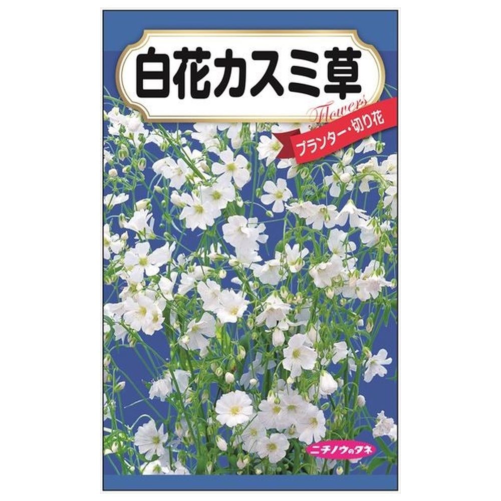かすみそう 000000086970-01-l.jpg?t=