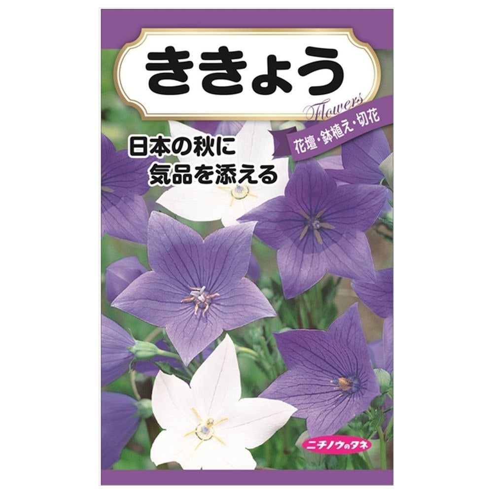楽天市場】【球根】 五月雨桔梗 白&紫 【5株入】 （植え付け時期