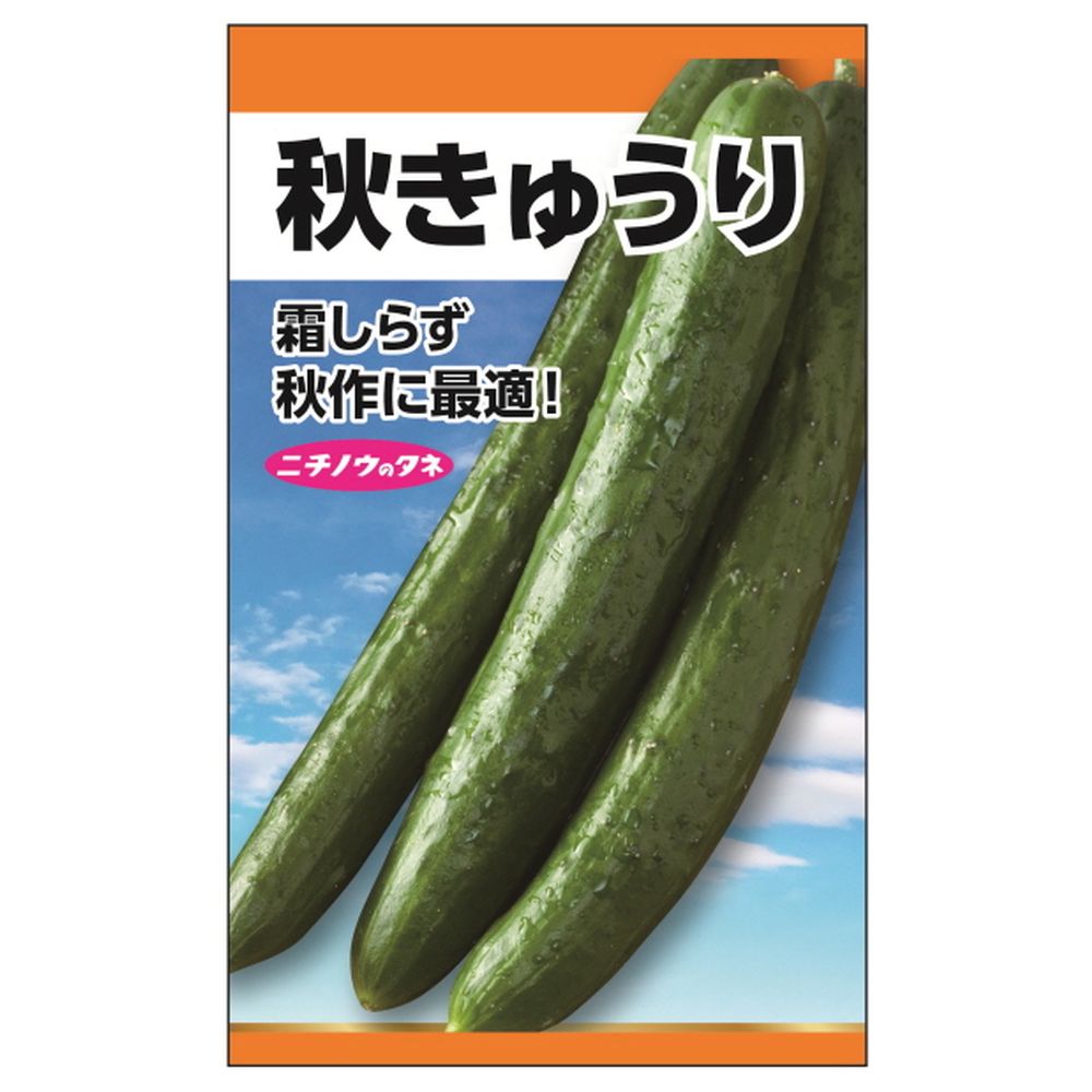 楽天市場】きゅうり 【F1夏秋きゅうり】 種・小袋 （1.5ml