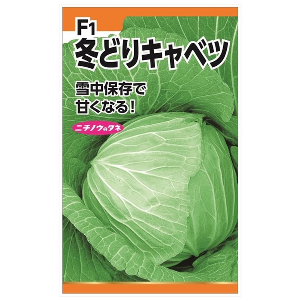 楽天市場】キャベツ 【F1冬どりキャベツ】 種・小袋 （1.5ml） : 苗木
