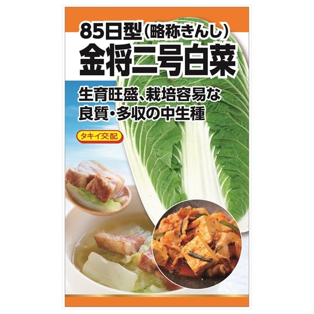 白菜70 受注生産】ハクサイ苗 黄楽70 128穴 セル苗 野菜苗 白菜苗 : T&T