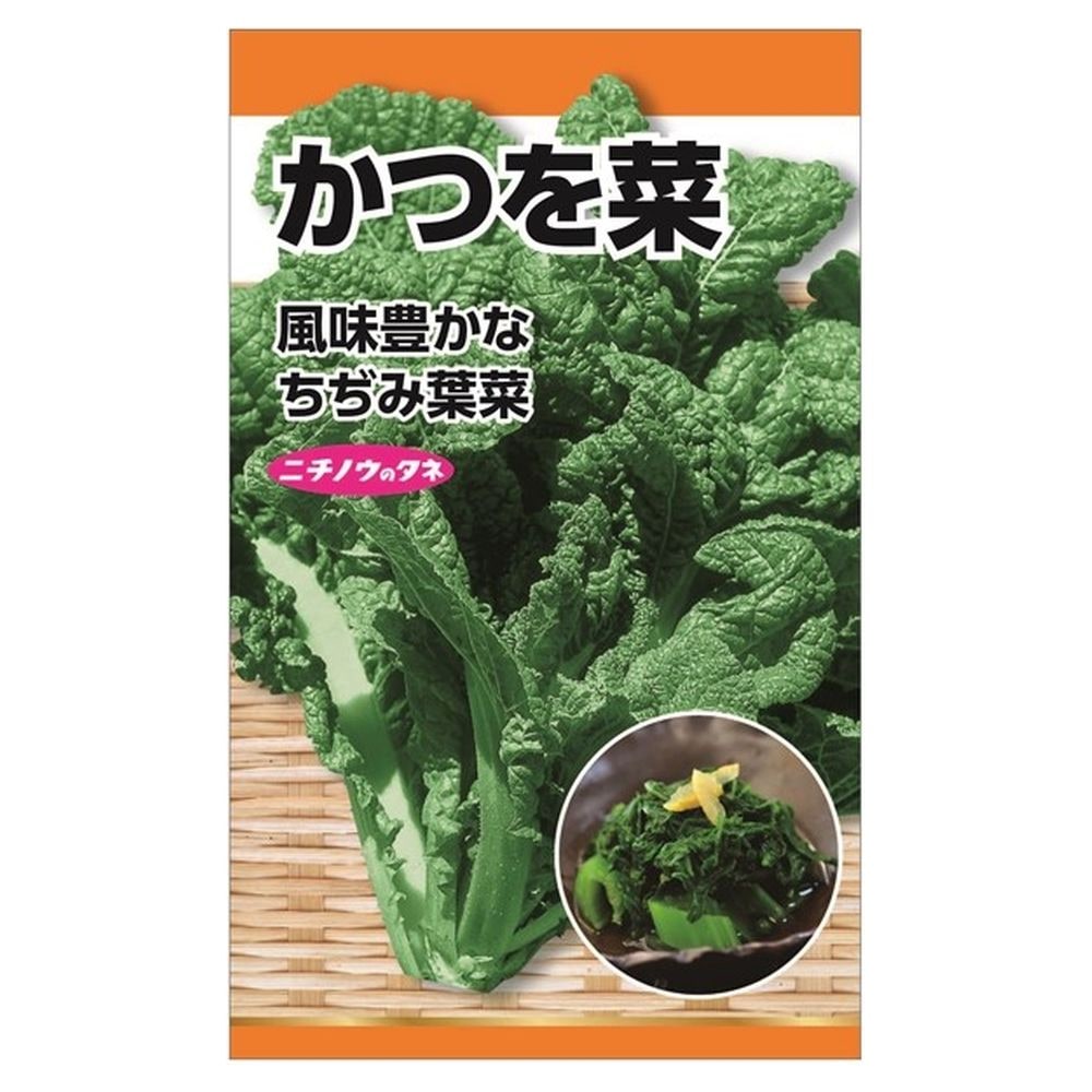 三池高菜　20kg 三池高菜 20kg 楽天市場】【三池高菜】 種・小袋 （6ml） 固定種