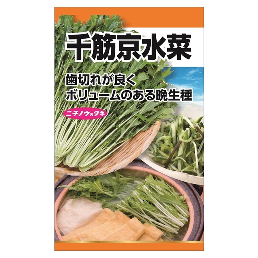 パパイヤ種子（タネ）　品種名　リオグランデ　100g（約6500粒） パパイヤ種子（タネ） 品種名 リオグランデ 100g（約6500粒