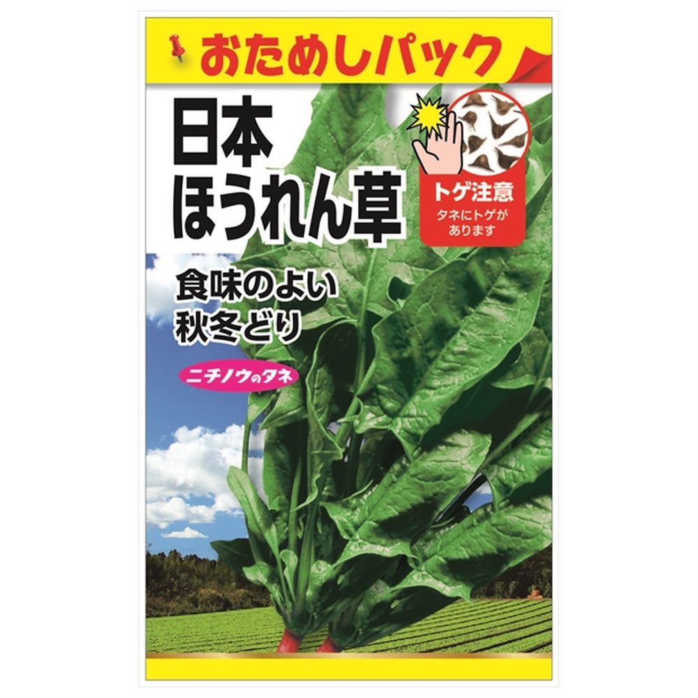 楽天市場】ほうれん草 【サラダほうれん草】 種・小袋 （20ml